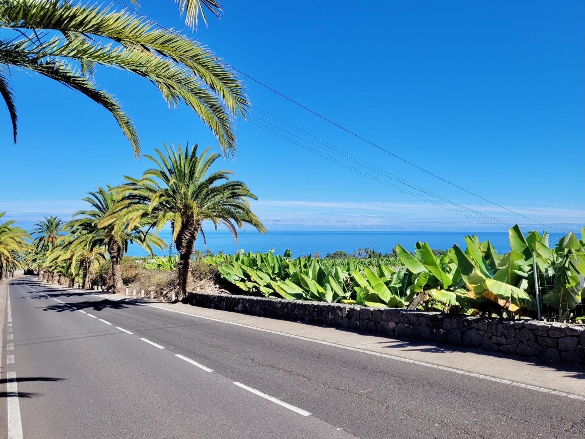 Casa Rural - Playa. Situada En Un Entorno Natural. La Orotava Buitenkant foto